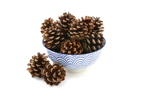 Fir cones arranged in and around a blue and white bowl — Stock Photo, Image