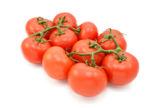Tomates rojos en la vid — Foto de Stock