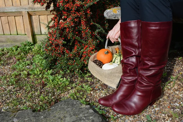 Mujer en botas con una cesta de calabazas —  Fotos de Stock