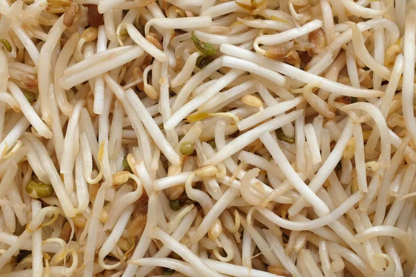 Bean sprouts background — Stock Photo, Image