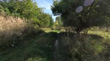 Güneşli bir günde, uzun kuru çimenler ve yeşil ağaçlarla çevrili demiryolu raylarının yakınındaki kırsal toprak yolda yürüyorum.