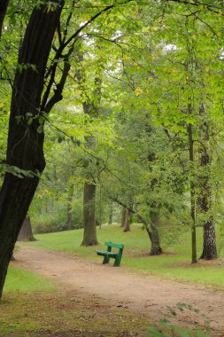 Sakin bir sonbahar parkındaki patikanın yanındaki yeşil bankta. Uzun ağaçlar ve düşen yapraklar huzur ve yalnızlık için sakin, dikey bir manzara yaratır.