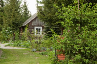 Geleneksel mimari ve izolasyon ve sükunet atmosferinin yer aldığı yemyeşil bir kırsal bahçede saklanmış taşralı ahşap bir kulübe. Tatil temaları için mükemmel.