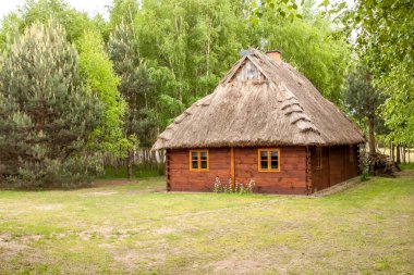 Thatched kulübesi. Ormanla çevrili ahşap ahşap bir ev. Geleneksel halk mimarisi abidesi. Sahne tarihi, kırsal kültürü, sade yaşamı ve açık hava müzesini sembolize eder..