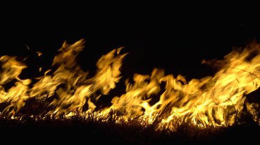 Asya 'da yağmur ormanlarının tahrip edilmesi. Ateş alevi ve gece dumanı, yakın çekim