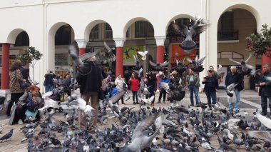 Selanik, Yunanistan - 14 Mayıs 2019: Yunanistan 'ın Selanik kentinde Yürüyen Güvercinleri Besleyen İnsanlar, yavaş çekim