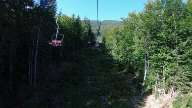 Sandalyeyle gezerken İlkbaharda ormanda