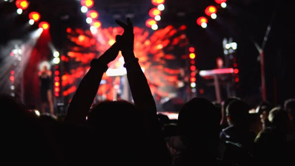 Menschenmassen Jubeln Bei Open Air Konzert — Stockfoto