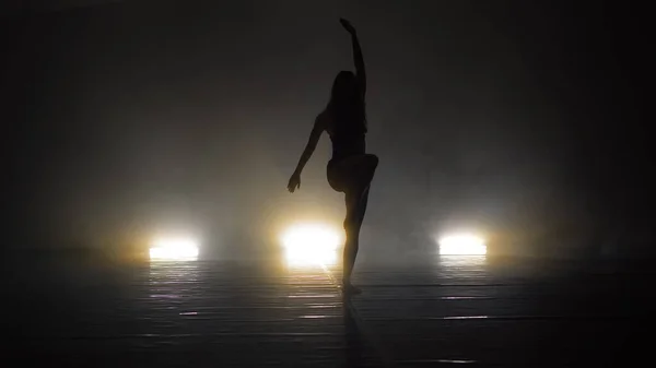 Dançarina Contemporânea Mulher Realizando Dança Sensual Erótica — Fotografia de Stock