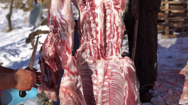 Masacre Cerdos Órganos Internos Intestinos Primer Plano —  Fotos de Stock