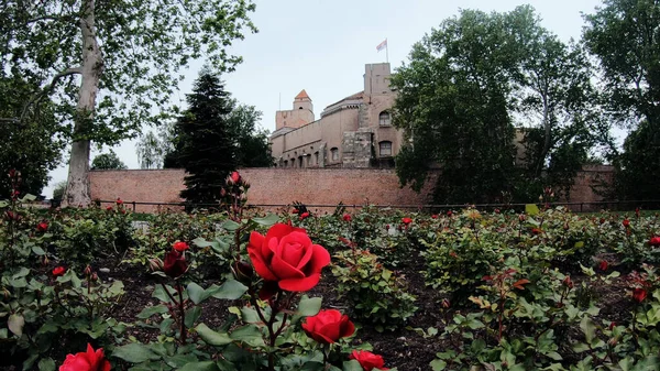 Fortaleza Kalemegdan Belgrado Sérvia — Fotografia de Stock