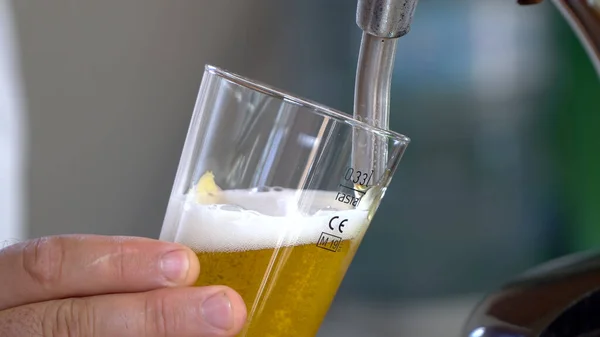 Barman Gieten Bier Glas Met Bubbels Close — Stockfoto