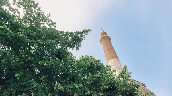 Hagia Sophia Zomer Istanbul Zonnige Dag Turkije — Stockfoto