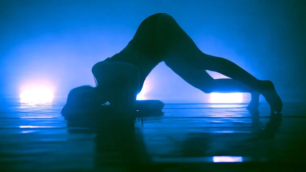 Silhouette Una Sensuale Ragazza Erotica Che Balla Danza Sexy Con — Foto Stock