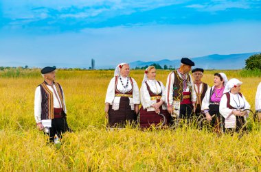 Makedonya 'nın Kochani kenti - Haziran 2015: Güneşli bir günde manuel pirinç hasatında eski etno giysiler giyen insanlar