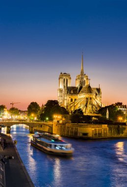 Notre Dame de Paris, Paris, Fransa 'da geceleyin Seine Nehri' nde yolcu gemisi ile düşey.