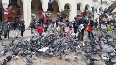 Selanik, Yunanistan - 14 Mayıs 2019: Yunanistan 'ın Selanik kentinde Yürüyen Güvercinleri Besleyen İnsanlar, yavaş çekim