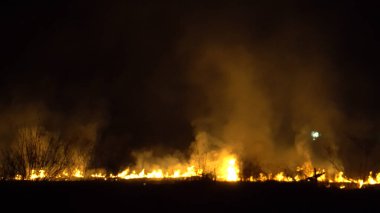 Asya 'da yağmur ormanlarının tahrip edilmesi. Ateş alevi ve gece dumanı, yakın çekim