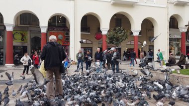 Selanik, Yunanistan - 14 Mayıs 2019: Yunanistan 'ın Selanik kentinde Yürüyen Güvercinleri Besleyen İnsanlar, yavaş çekim
