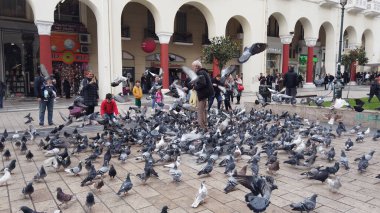 Selanik, Yunanistan - 14 Mayıs 2019: Yunanistan 'ın Selanik kentinde Yürüyen Güvercinleri Besleyen İnsanlar, yavaş çekim