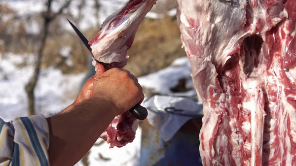 Pig Slaughter, Internal Organs, Intestines, Close-Up