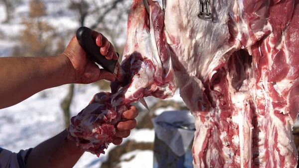 Pig Slaughter, Internal Organs, Intestines, Close-Up