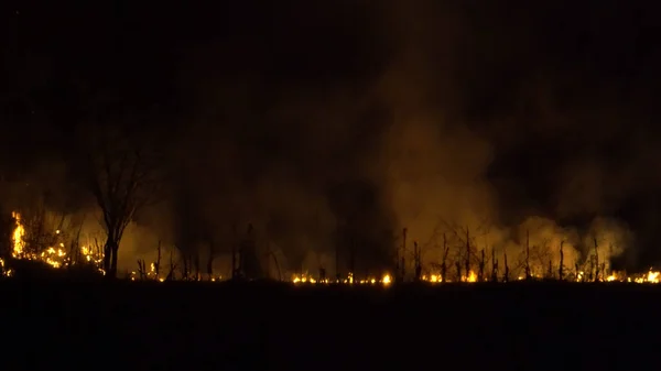 亚洲热带雨林的砍伐 夜间的火焰和浓烟 — 图库照片