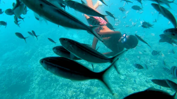 Escena Submarina Con Sargento Mayor Peces Abudefduf Saxatilis Arrecife Coral — Foto de Stock