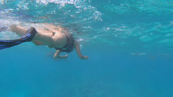 Une Femme Bikini Plongeant Sous Eau Sur Une Île Tropicale — Photo