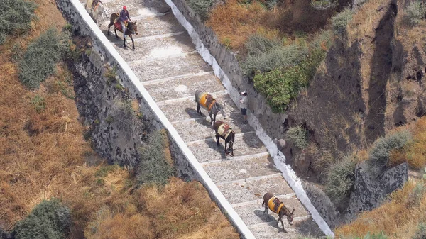 Vista Porto Velho Estrada Burro Por Cabo Ilha Santorini — Fotografia de Stock