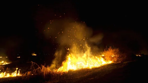 Desmatamento Floresta Tropical Ásia Chama Fogo Grande Fumaça Noite Close — Fotografia de Stock