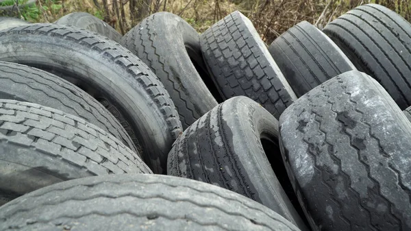 Lot of old car tires dumped in a forest during daytime