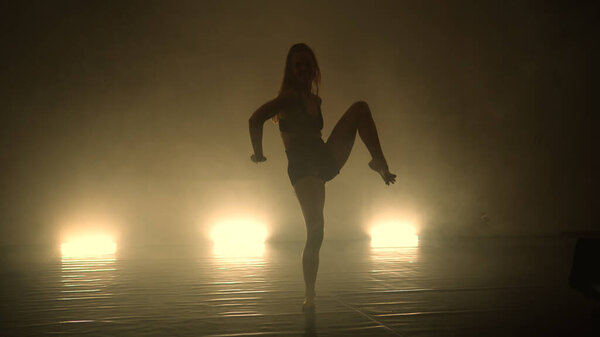 The sensual and emotional dance of beautiful modern freestyle ballerina
