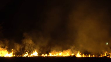 Asya 'da yağmur ormanlarının tahrip edilmesi. Ateş alevi ve gece dumanı, yakın çekim