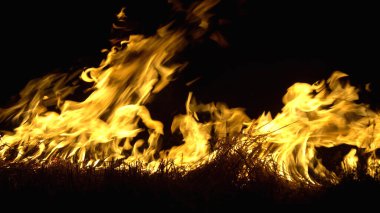 Asya 'da yağmur ormanlarının tahrip edilmesi. Ateş alevi ve gece dumanı, yakın çekim