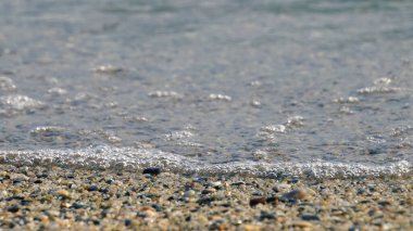 Taşlar, dalgalar ve deniz