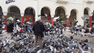 Selanik, Yunanistan - 14 Mayıs 2019: Yunanistan 'ın Selanik kentinde Yürüyen Güvercinleri Besleyen İnsanlar, yavaş çekim