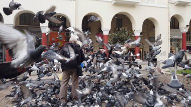 Selanik, Yunanistan - 14 Mayıs 2019: Yunanistan 'ın Selanik kentinde Yürüyen Güvercinleri Besleyen İnsanlar, yavaş çekim