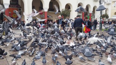 Selanik, Yunanistan - 14 Mayıs 2019: Yunanistan 'ın Selanik kentinde Yürüyen Güvercinleri Besleyen İnsanlar, yavaş çekim