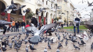 Selanik, Yunanistan - 14 Mayıs 2019: Yunanistan 'ın Selanik kentinde Yürüyen Güvercinleri Besleyen İnsanlar, yavaş çekim