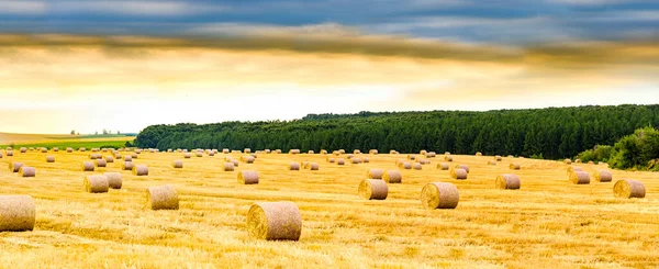 Panorama Della Balla Fieno Alla Luce Del Sole All Alba — Foto Stock