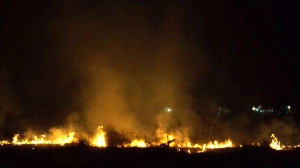亚洲热带雨林的砍伐 夜间的火焰和浓烟 — 图库照片