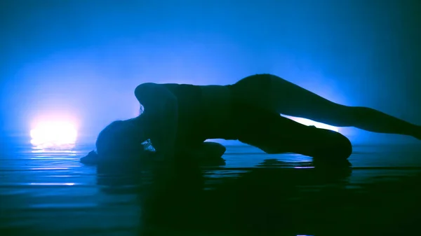 Silhouette Una Sensuale Ragazza Erotica Che Balla Danza Sexy Con — Foto Stock