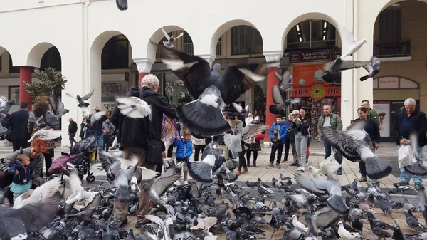 Selanik, Yunanistan - 14 Mayıs 2019: Yunanistan 'ın Selanik kentinde Yürüyen Güvercinleri Besleyen İnsanlar, yavaş çekim