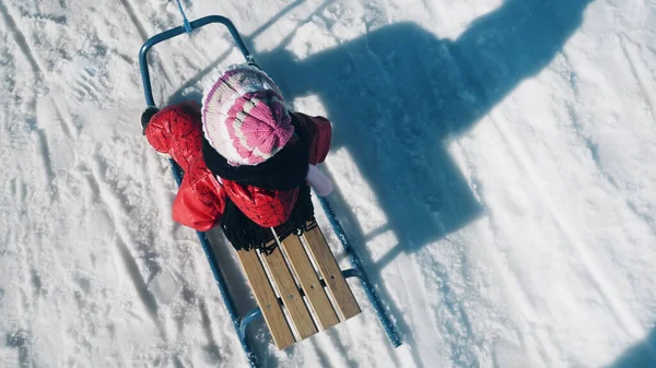 Visão Superior Menina Criança Trenó Neve Parque Inverno Estilo Vida Imagens De Bancos De Imagens Sem Royalties