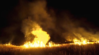 Asya 'da yağmur ormanlarının tahrip edilmesi. Ateş alevi ve gece dumanı, yakın çekim