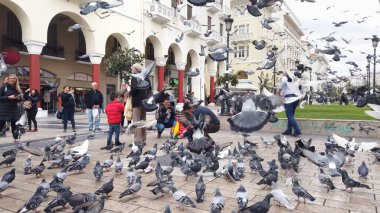 Selanik, Yunanistan - 14 Mayıs 2019: Yunanistan 'ın Selanik kentinde Yürüyen Güvercinleri Besleyen İnsanlar, yavaş çekim