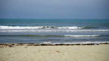 Dalgaların dalgaları denizde yüzeye çıkar.