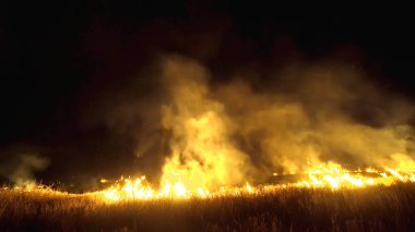 Asya 'da yağmur ormanlarının tahrip edilmesi. Ateş alevi ve gece dumanı, yakın çekim