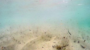 Kumlu deniz tabanı, kızıl denizde güneş ışığının yapısı.